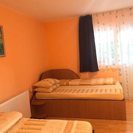 Pensiunea Colt De Rai Săcel Buitenkant foto