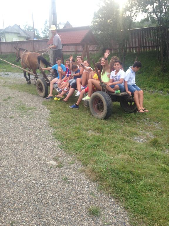 Pensiunea Colt De Rai Săcel Buitenkant foto