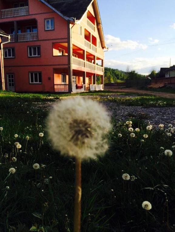 Pensiunea Colt De Rai Săcel Buitenkant foto