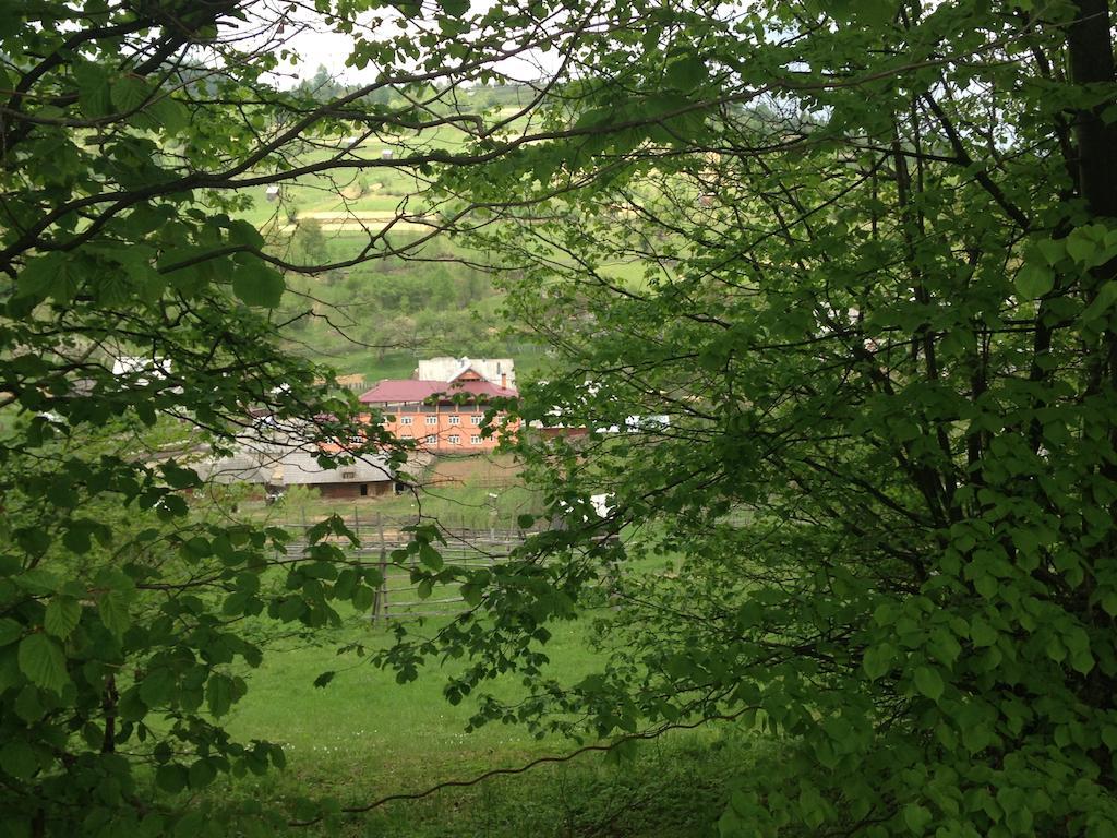 Pensiunea Colt De Rai Săcel Buitenkant foto