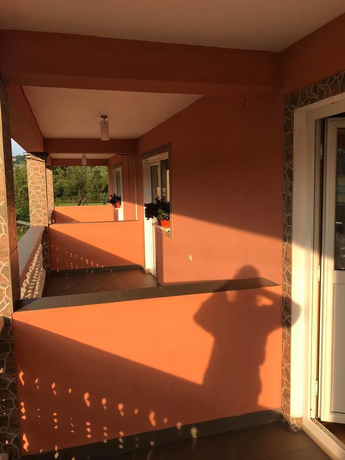 Pensiunea Colt De Rai Săcel Buitenkant foto