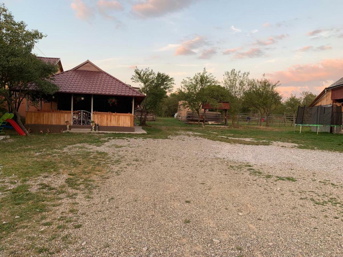 Pensiunea Colt De Rai Săcel Buitenkant foto